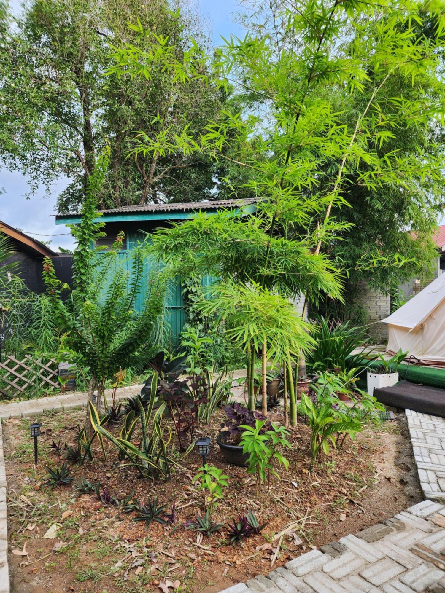 Blissfull Sweet Inn Pantai Cenang  Εξωτερικό φωτογραφία