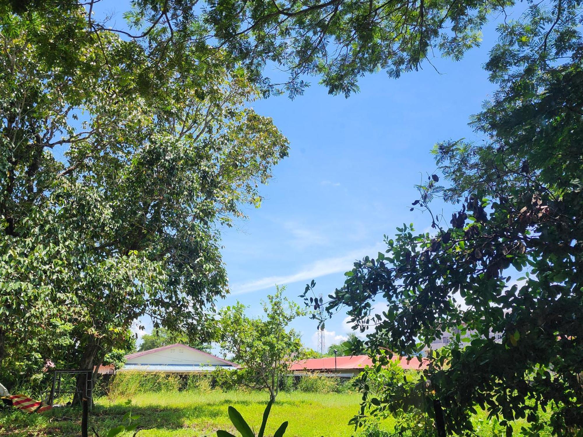 Blissfull Sweet Inn Pantai Cenang  Εξωτερικό φωτογραφία